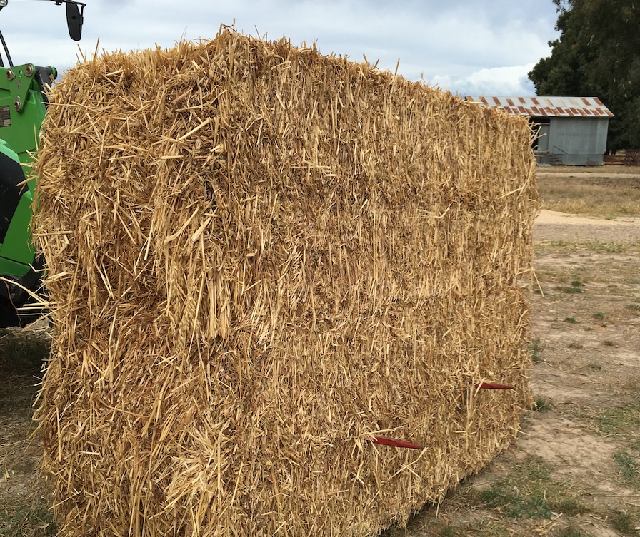 1000 Oaten Hay 8x3x3 350370kg Bales Ex Farm Hay & Fodder